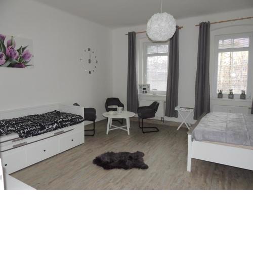Apartmány Černý Tulipán #4