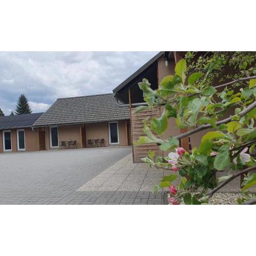 Apartmány DoLosin