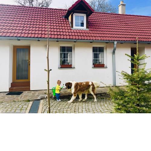 Apartmány Jílovice