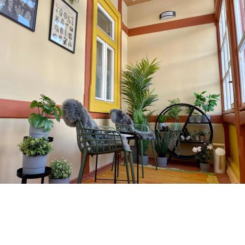 APARTMÁNY KOLLÁR so SAUNOU