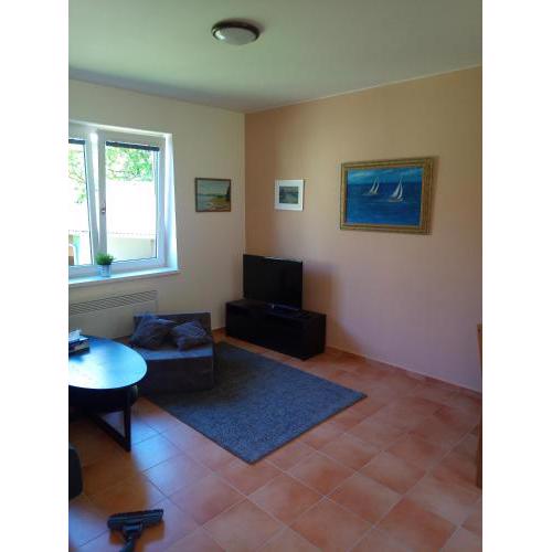 Apartmány Nová Živohošť, Slapská přehrada, River Marina