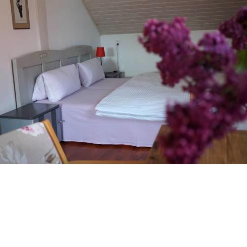 Apartmány Rudík