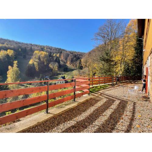 Apartmány Telnice - Medorhof