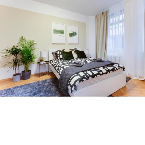 Apartment 2 bedrooms in historical center - Jungmannova
