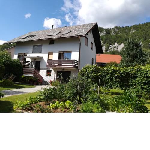 Apartment Ajdna