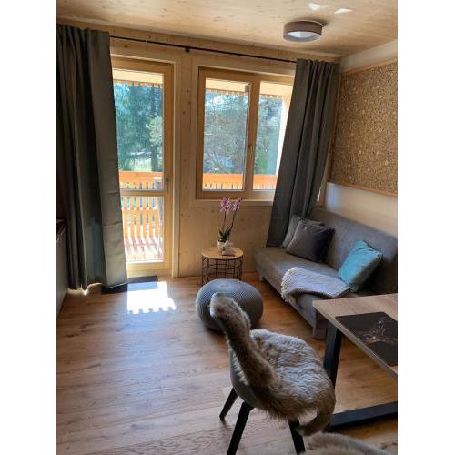 Apartment Almwiesen Mellau