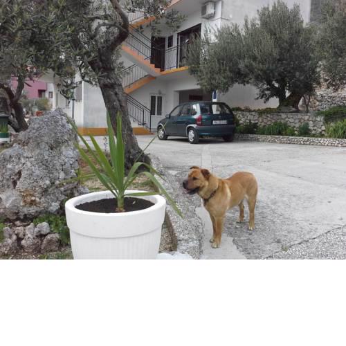 Apartment ANA 4