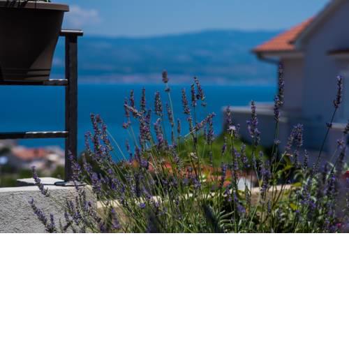 Apartment Andrija