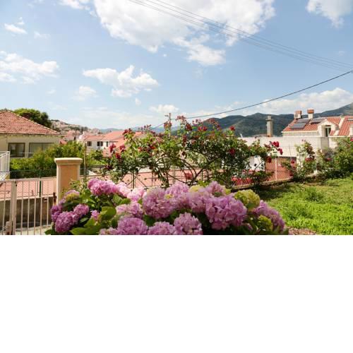 Apartment Antun