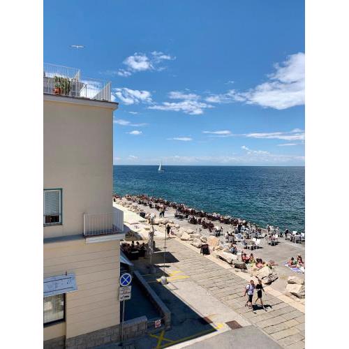 Apartment Beachfront