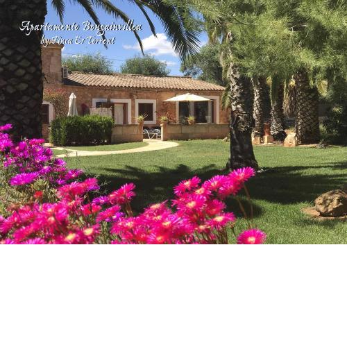 Apartment Bougaivillea by Finca Es Torrent