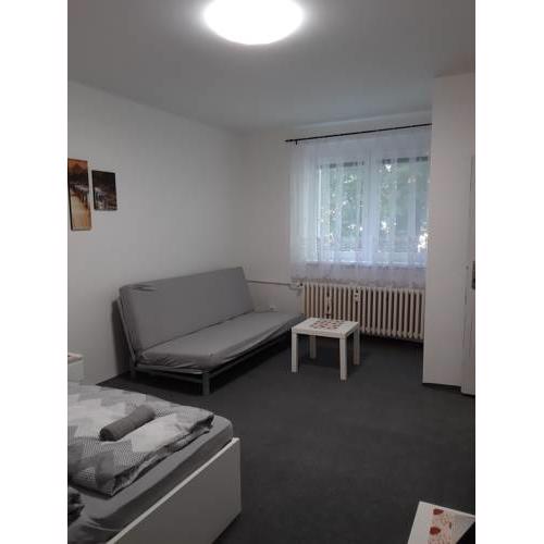 Apartment Bratislava, centre (Trnavské mýto)