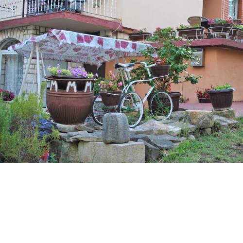 Apartment Cuvi