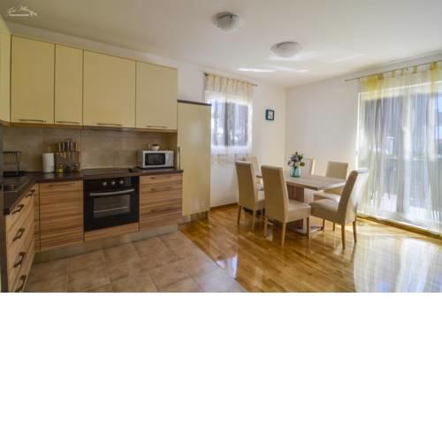 Apartment Dalmatian Sea Star