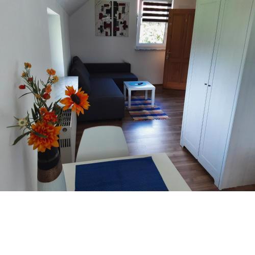 Apartment-Ferienwohnung 21 qm