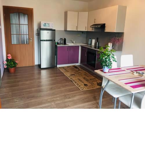 Apartment for family and friends in Sopron