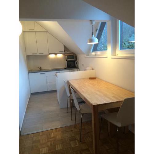 Apartment Franc