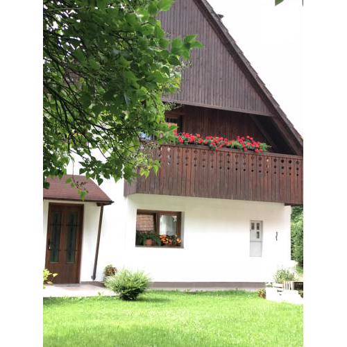 Apartment Gaja - Golte
