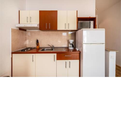 Apartment Gojka Suska IV