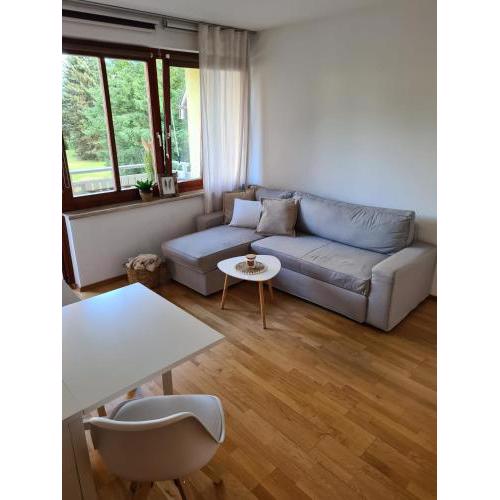 Apartment Goldeck