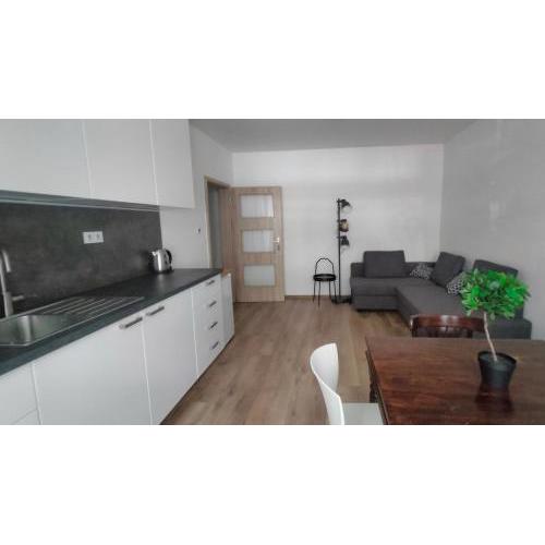 Apartment Gorkeho