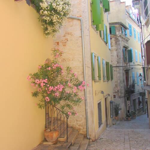 Apartment Grisia Old Town