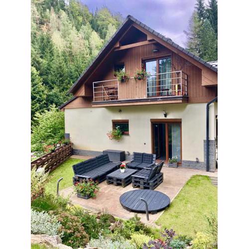 Apartment Harrachov