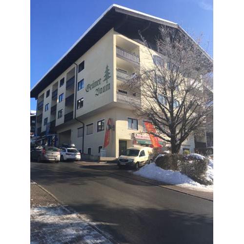Apartment im Alpendorf