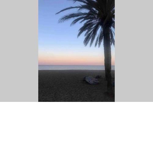 Apartment in 1st line beach