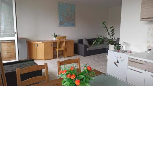 Apartment in a great location