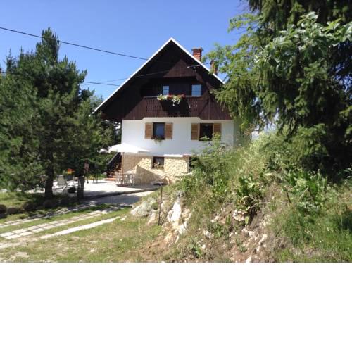 APARTMENT in CHALET BOHINJ