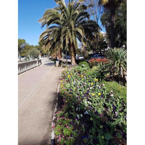 Apartment in Crikvenica 42276