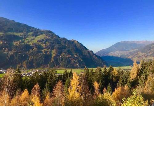 Apartment in Gerlosberg - Tirol 42414
