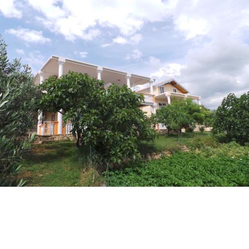 Apartment in Maslenica 26577