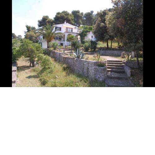 Apartment in Maslinica