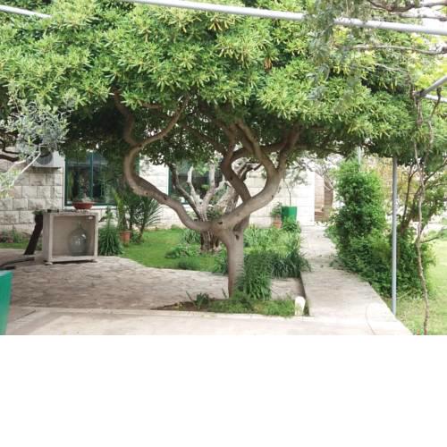 Apartment in Sumartin with balcony, air conditioning, WiFi (4906-2)