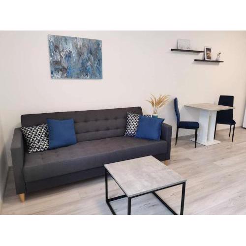Apartment in the city centre