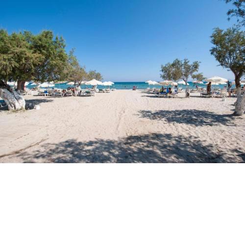 Apartment in Tigaki beach Kos