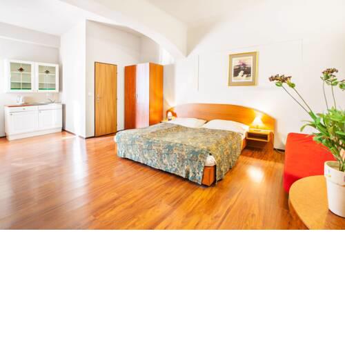 Apartment in Zizkov Sleeps 3 with WiFi