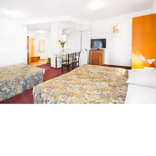 Apartment in Zizkov Sleeps 5 with WiFi