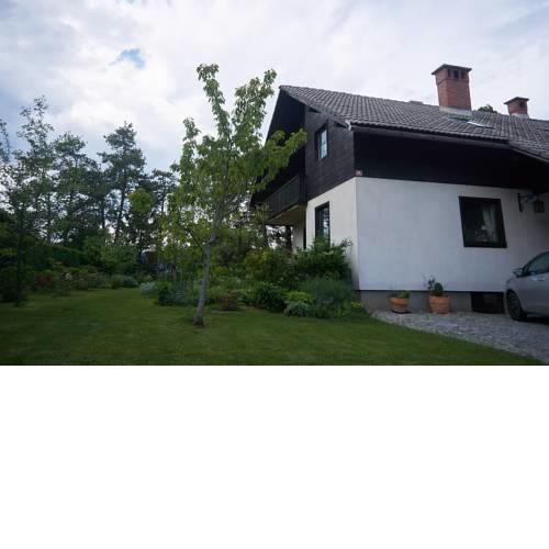 Apartment Ivana B