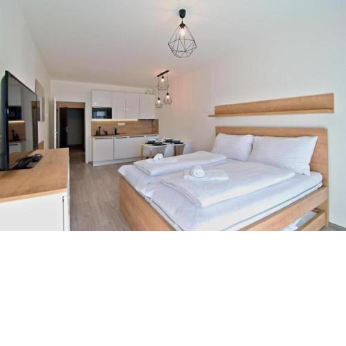Apartment Korzo 318-3 Lipno Home