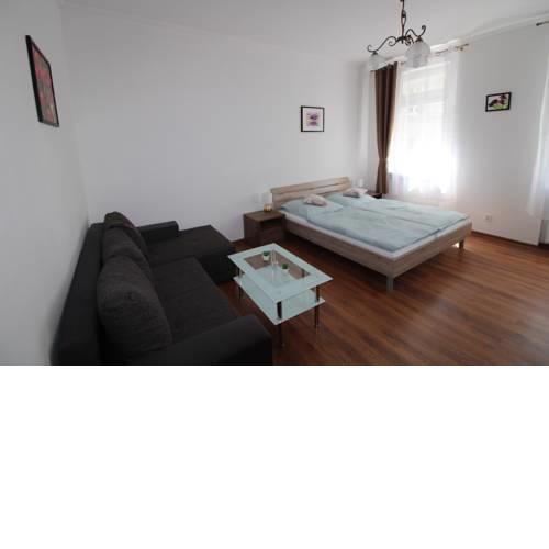 Apartment Krále Jiřího