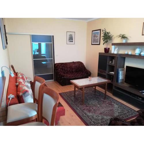 Apartment Letna near the city center
