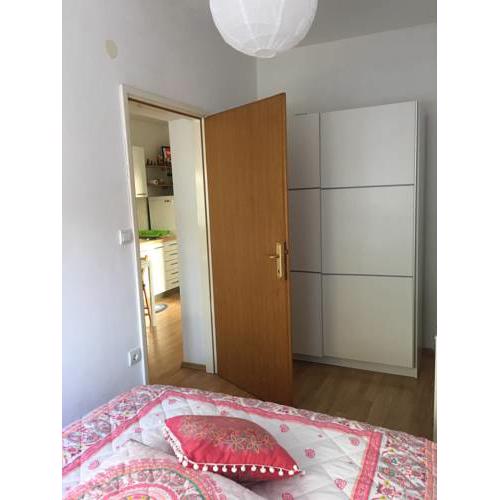 Apartment Lisinski