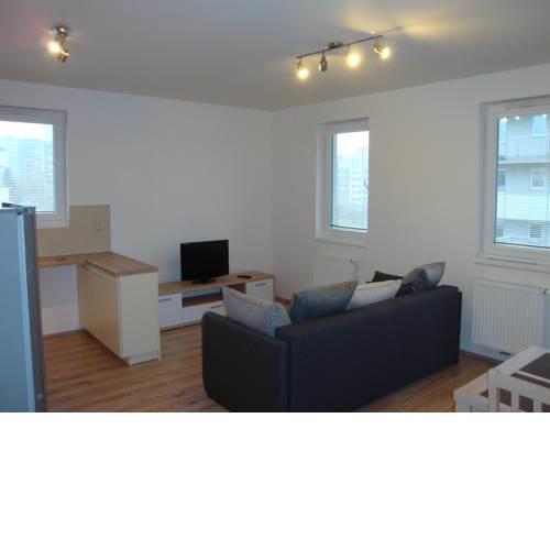 Apartment Loosova 995