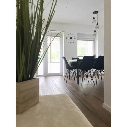 Apartment Loyd, Tolmin - Most na Soči