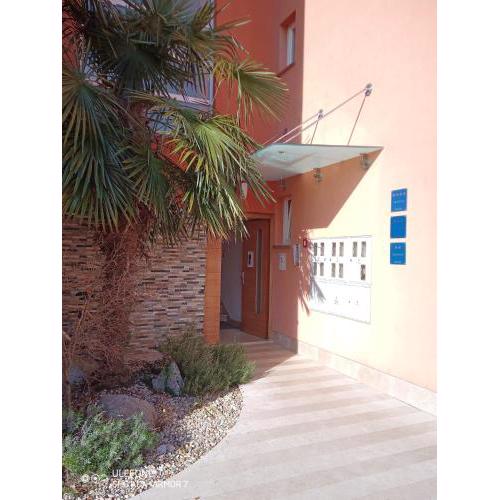 Apartment Loza