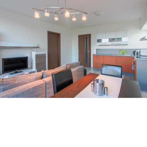 Apartment Lužánky