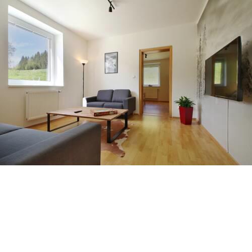 Apartment Marketa 3+1